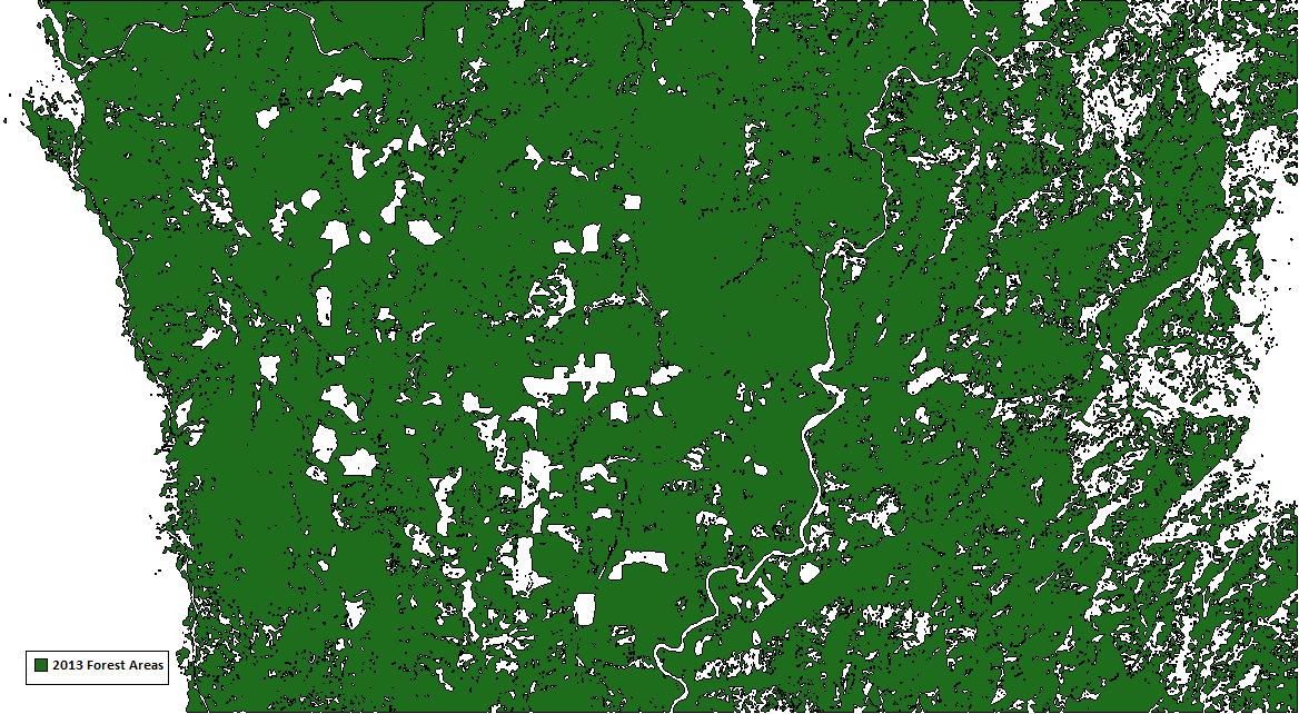 12-1-2013_forest_polygons.jpg