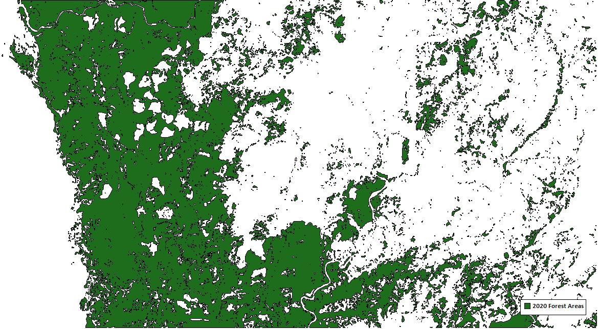 12-2-2020_forest_polygons.jpg