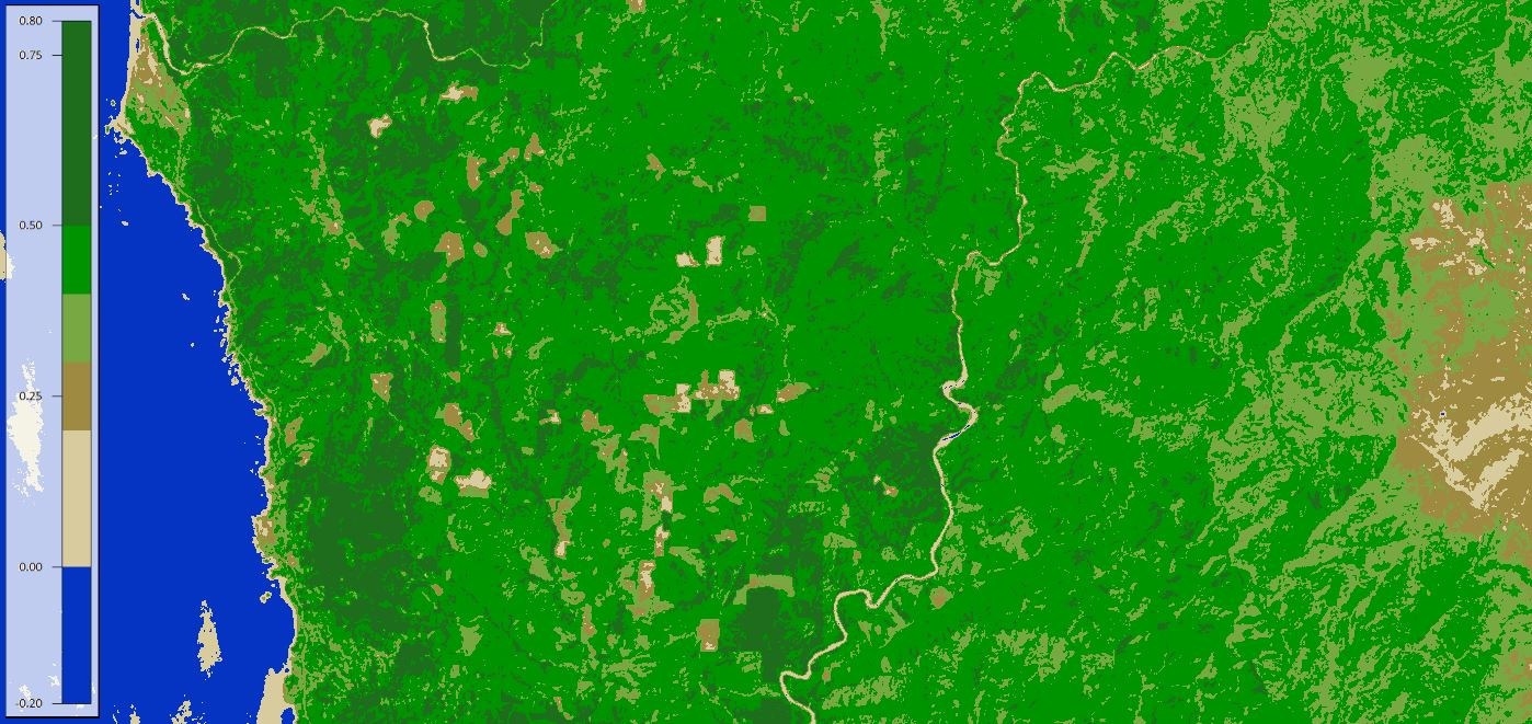 7-1-2013_custom_ndvi.jpg