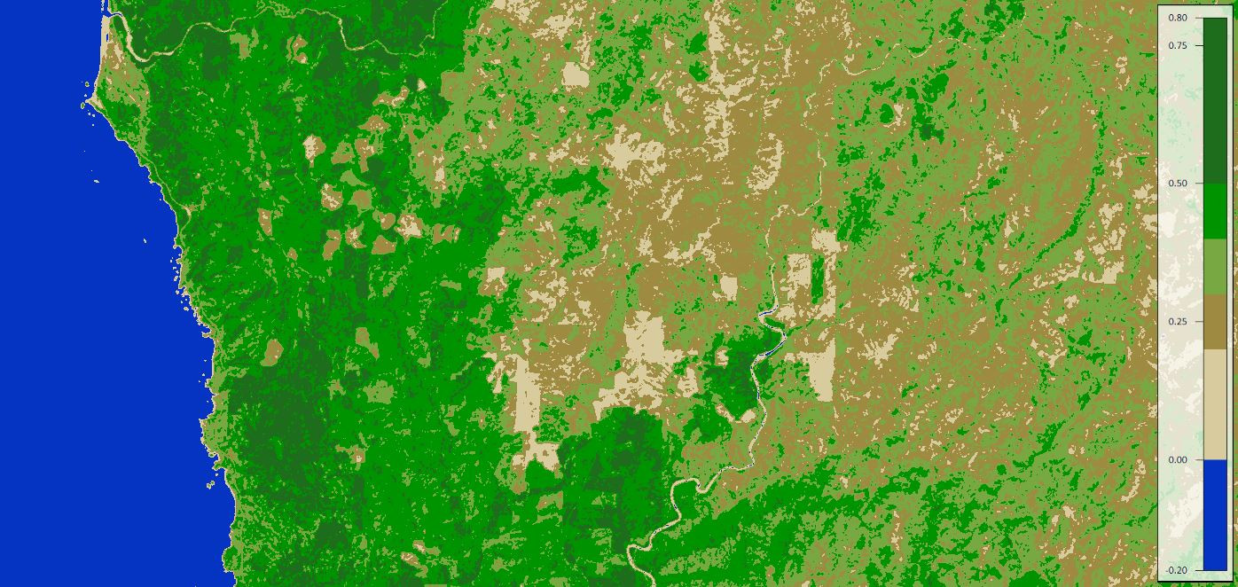 7-2-2020_custom_ndvi.jpg