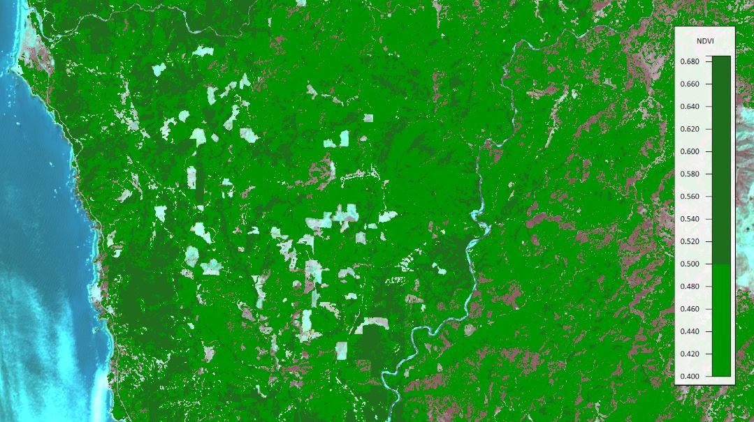 8-2-2013_fcc_ndvi.jpg