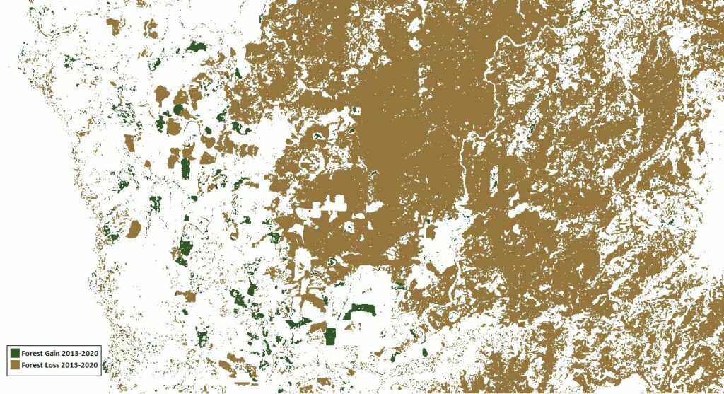 Lidar-Forst-13-Waldveraenderung.jpg