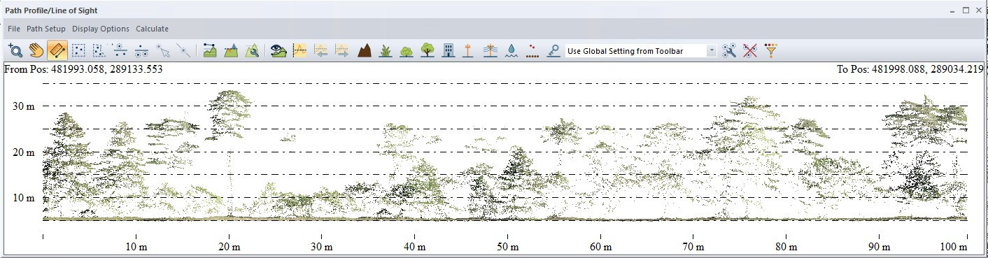 Lidar-Forst-2-Querschnitt-Waldbestand.jpg