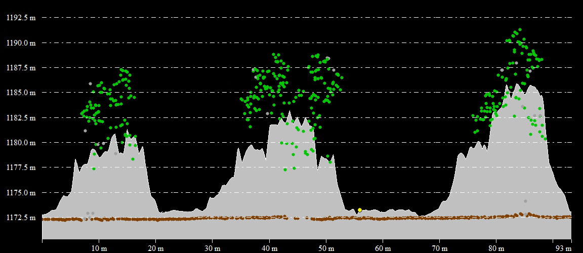 Lidar-Forst-4-Baumwachstum1.png