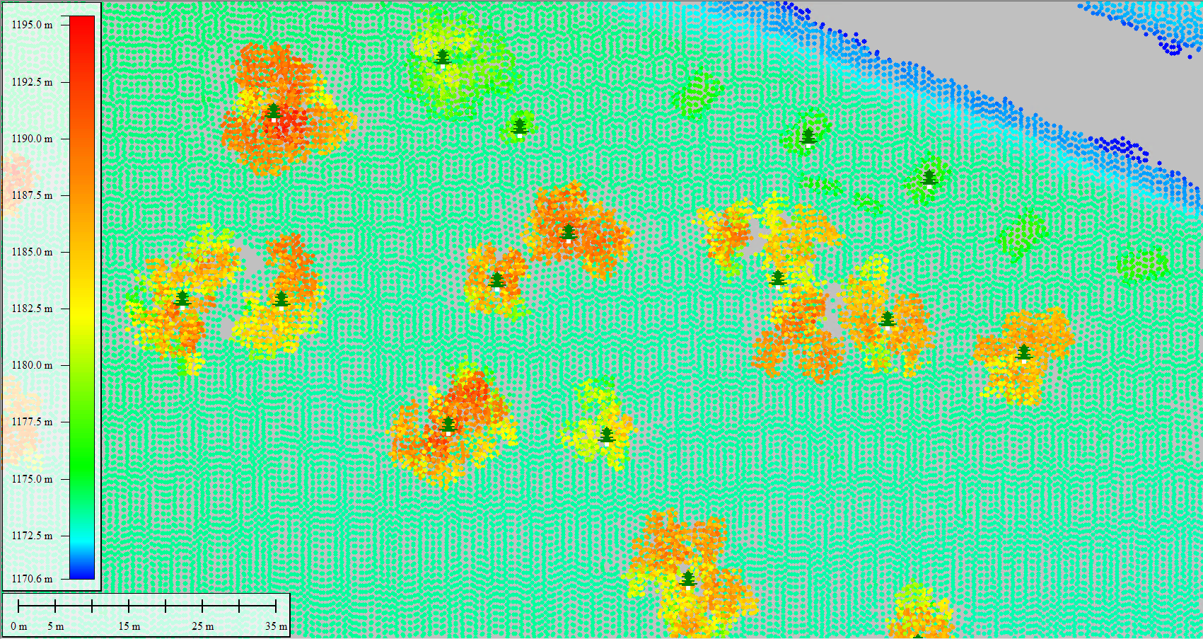 Lidar-Forst-5-Baumwachstum2.png