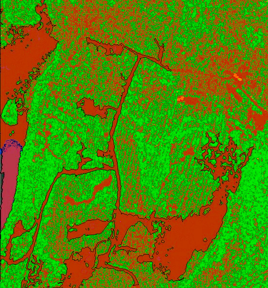 Lidar-Forst-7-Vektorisierung-Bereiche.jpg