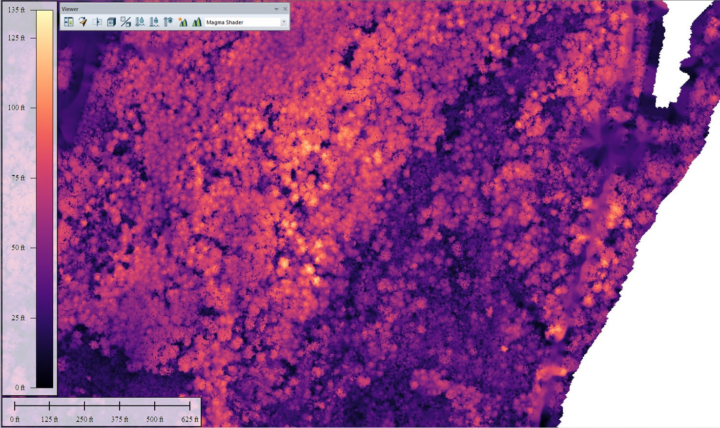 Lidar-Forst-8-CHM.jpg