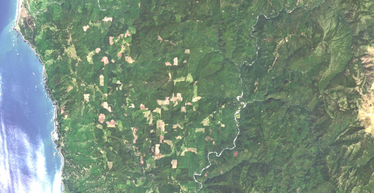 Lidar-Forst-9-Echtfarbenbild.jpg