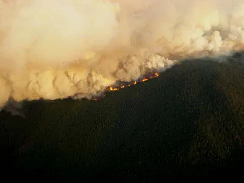 arizona_forest_fire_2.webp