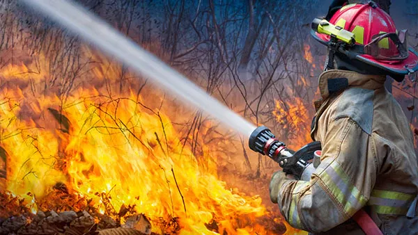 Firefighter.webp